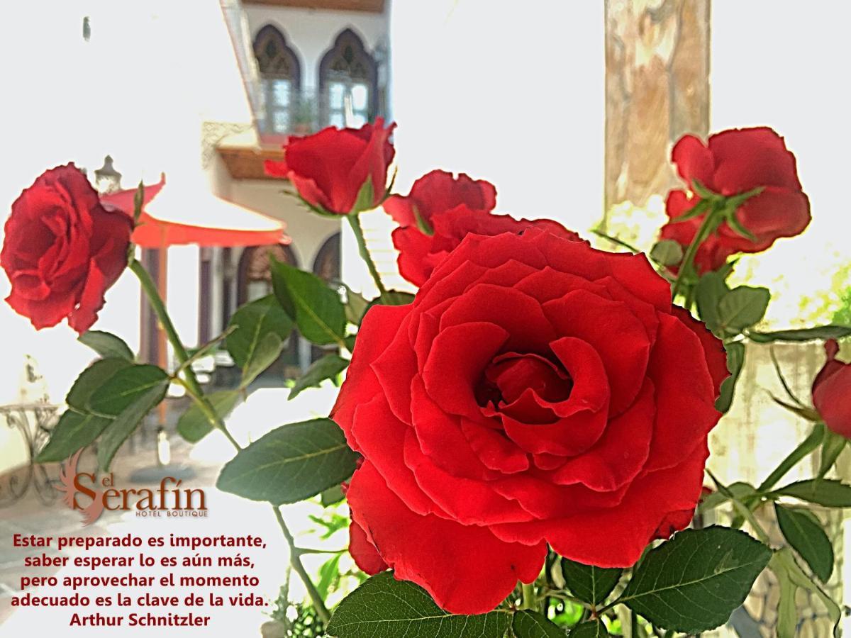 El Serafin Hotel Boutique Querétaro Dış mekan fotoğraf
